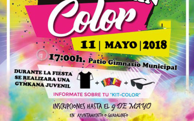 FIESTA COLORES ALGALLARIN COLORS