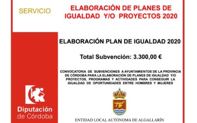 ELABORACIÓN DE PLANES DE IGUALDAD Y/O PROYECTOS